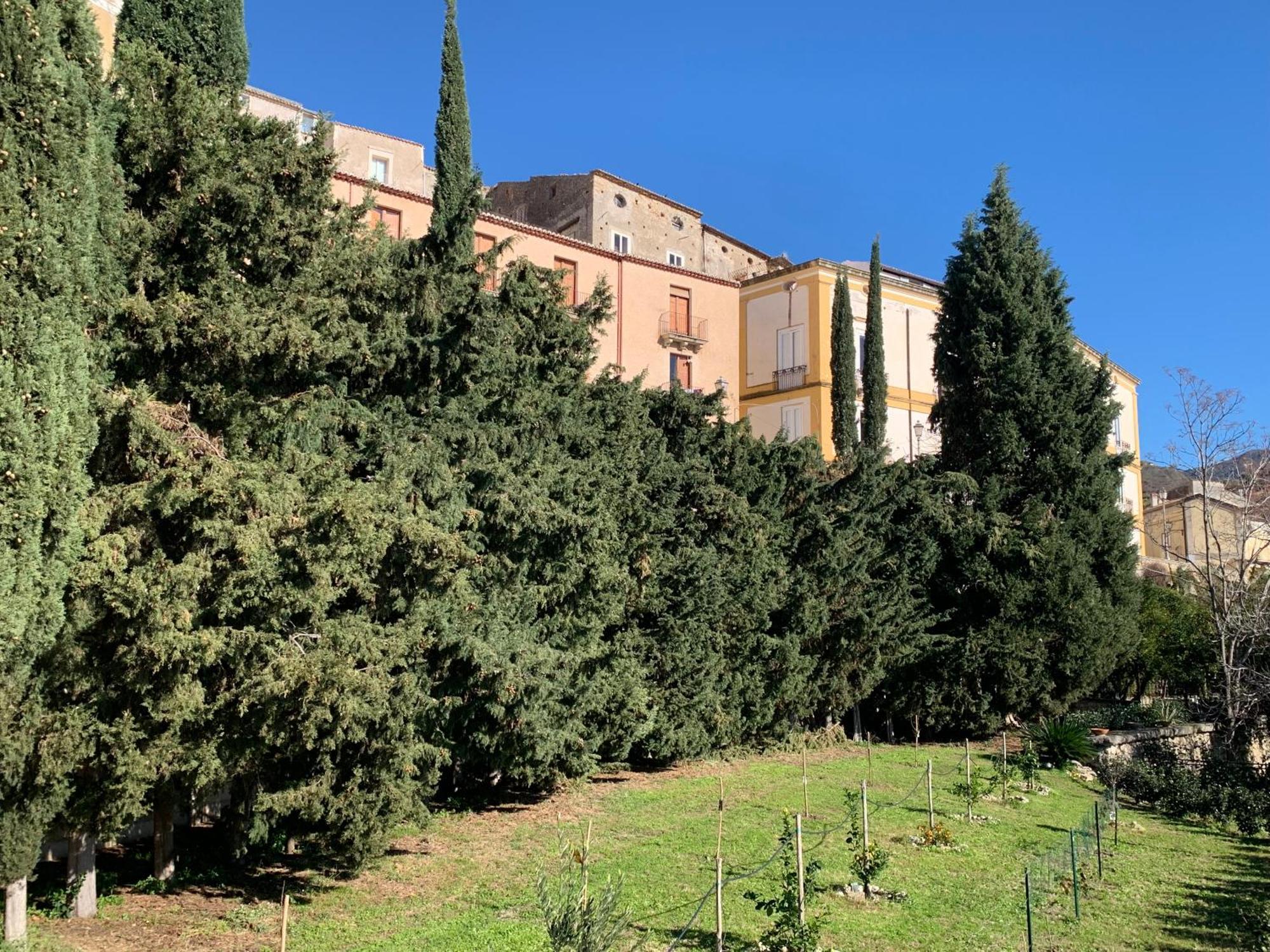 Palazzo Carratelli Apartment Amantea Exterior foto